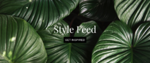 Style Feed