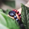 Bracelet Sodalite